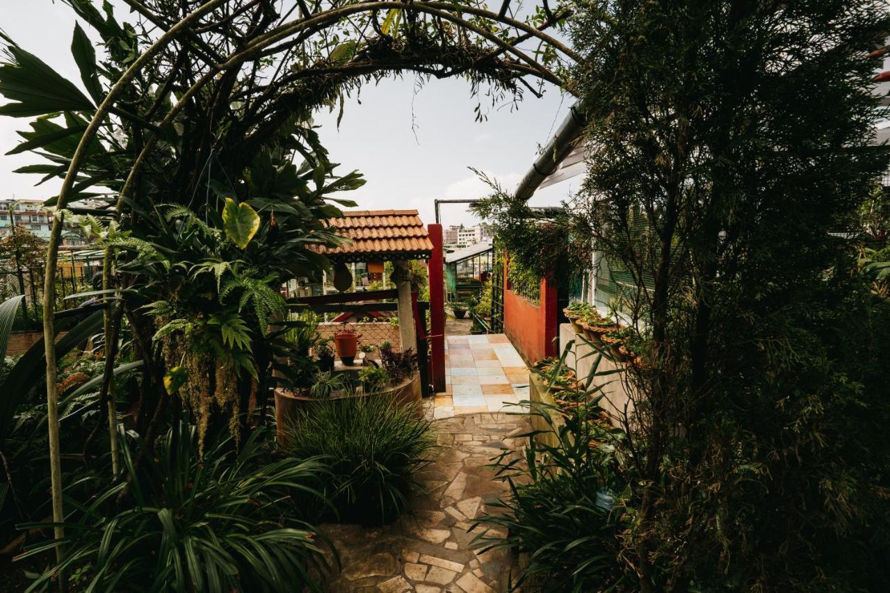 Rock Cliff Home Stay Šillong Exteriér fotografie